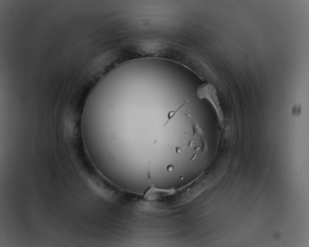 X0000102530408200808081456