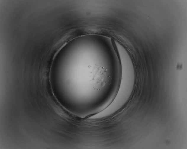 X0000102530409200808081456