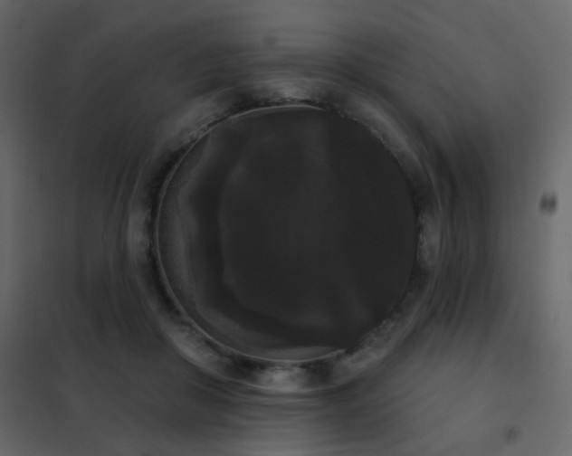 X0000102530410200808081456