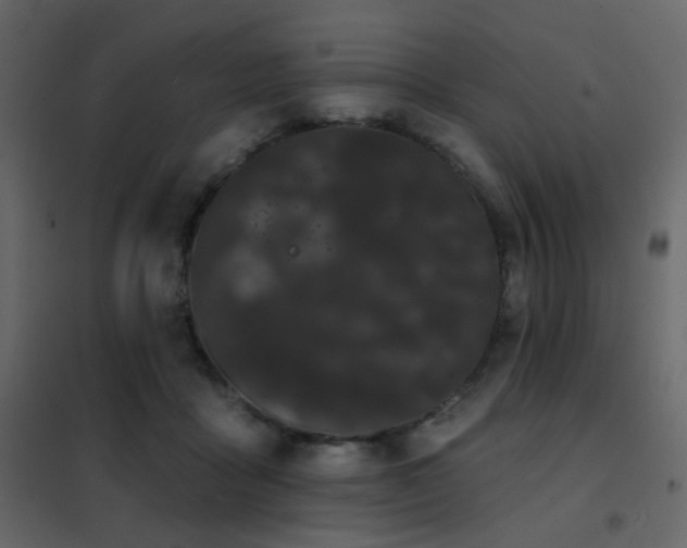 X0000102530411200808081456