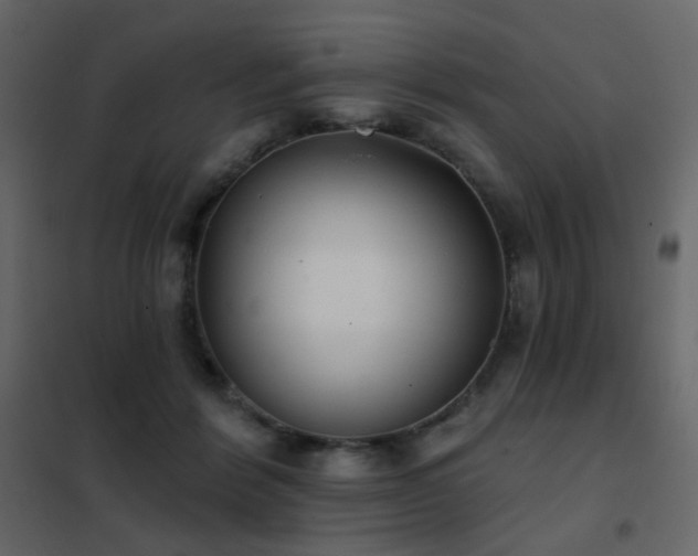 X0000102530412200808081456