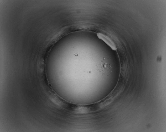 X0000102530413200808081456