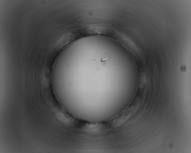 X0000102530414200808081456