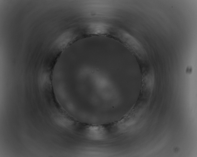 X0000102530415200808081456