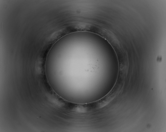 X0000102530416200808081456