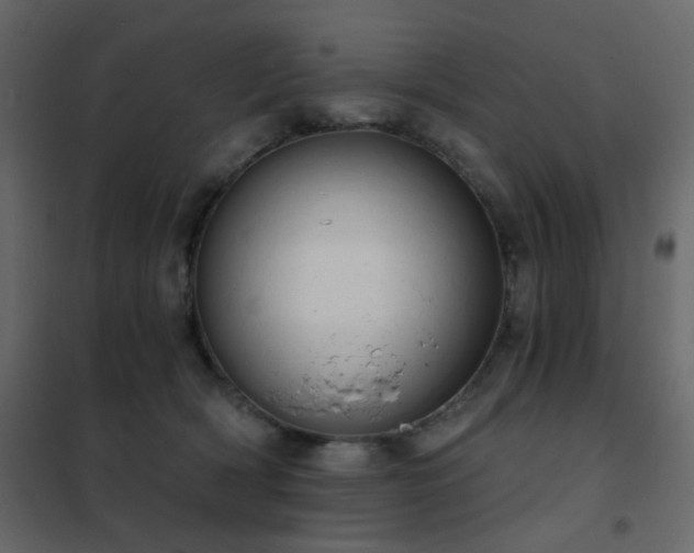 X0000102530418200808081456