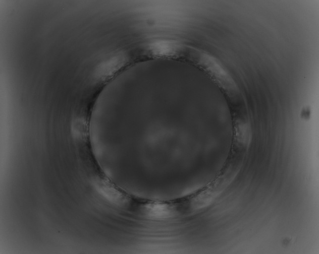 X0000102530419200808081456
