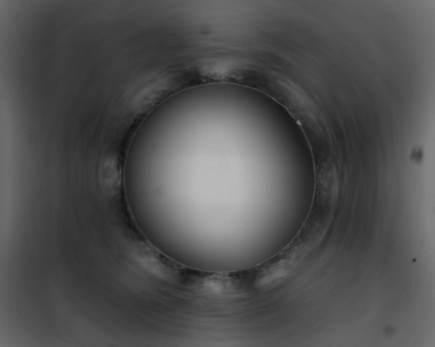 X0000102530420200808081456