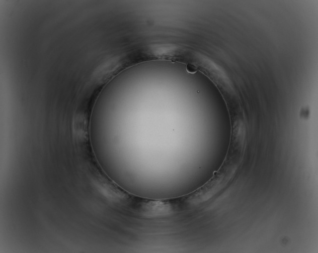 X0000102530421200808081456