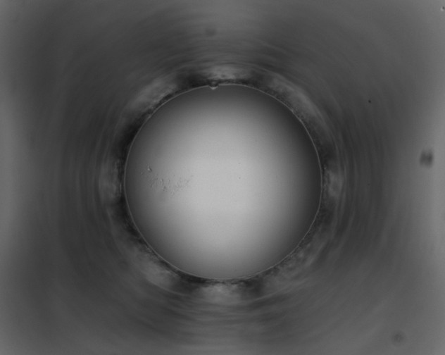 X0000102530422200808081456