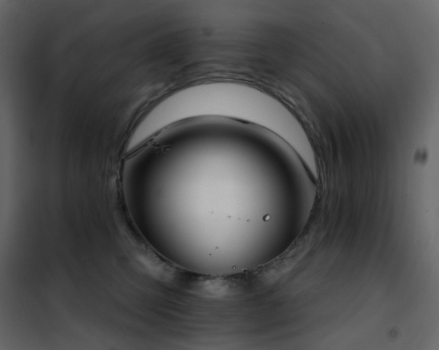 X0000102530423200808081456