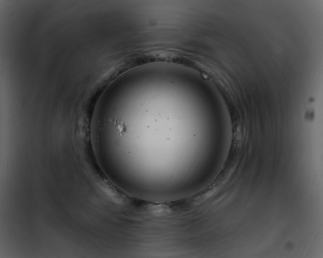 X0000102530424200808081456