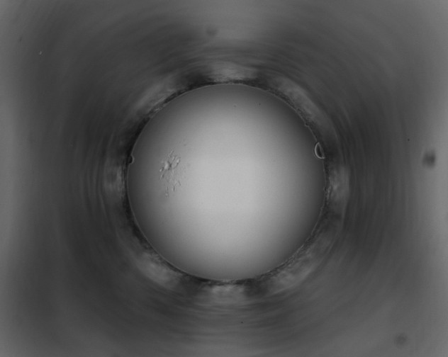 X0000102530426200808081456