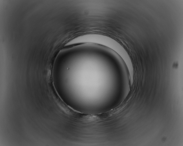 X0000102530427200808081456