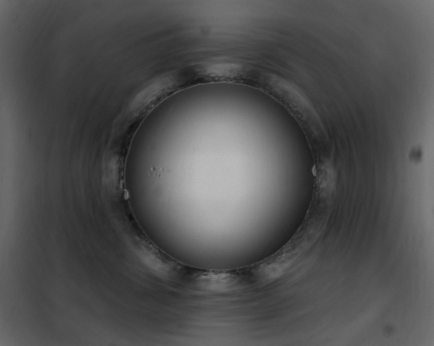 X0000102530428200808081456