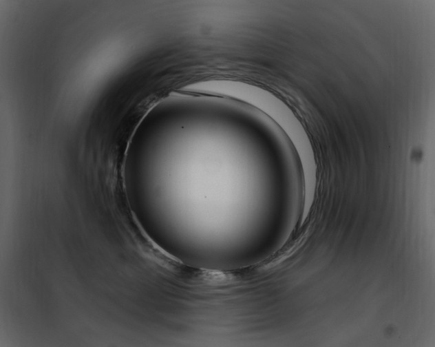 X0000102530429200808081456
