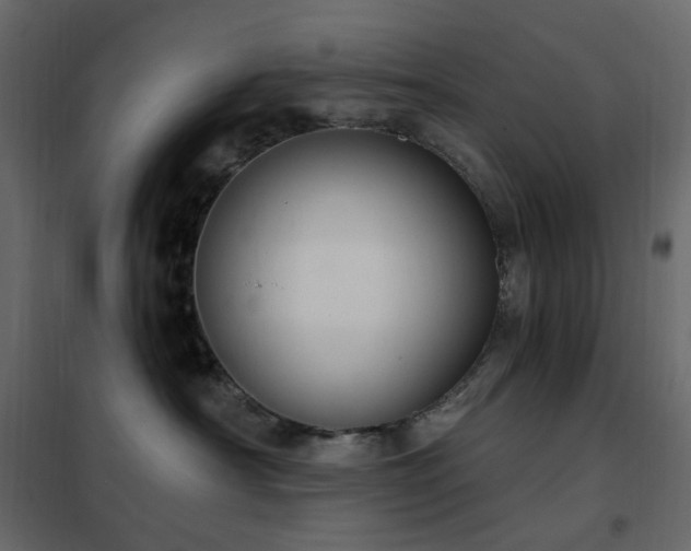 X0000102530430200808081456