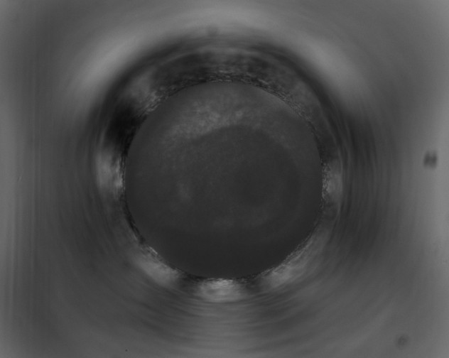 X0000102530431200808081456