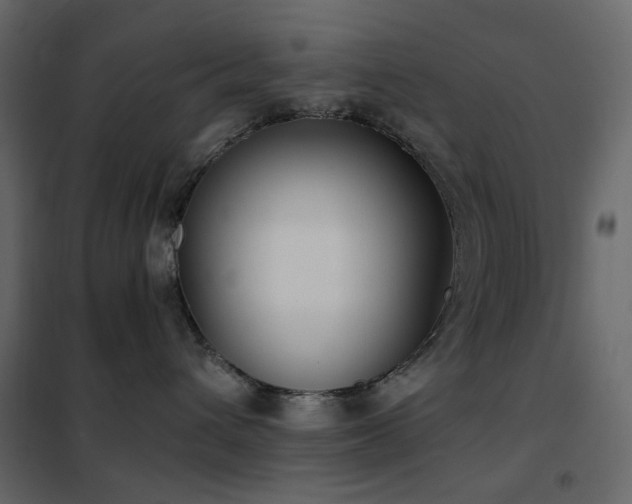 X0000102530432200808081456