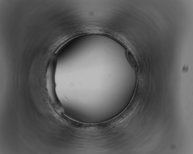 X0000102530433200808081455