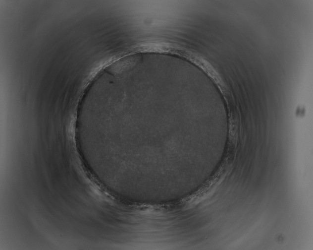 X0000102530434200808081455