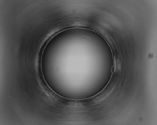 X0000102530435200808081455