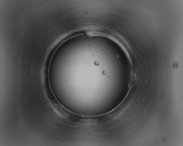 X0000102530436200808081455