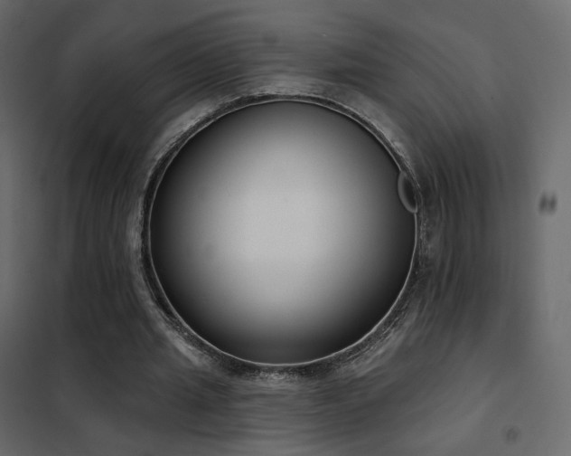 X0000102530437200808081455