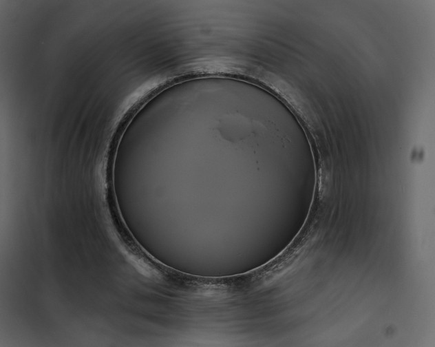 X0000102530438200808081455
