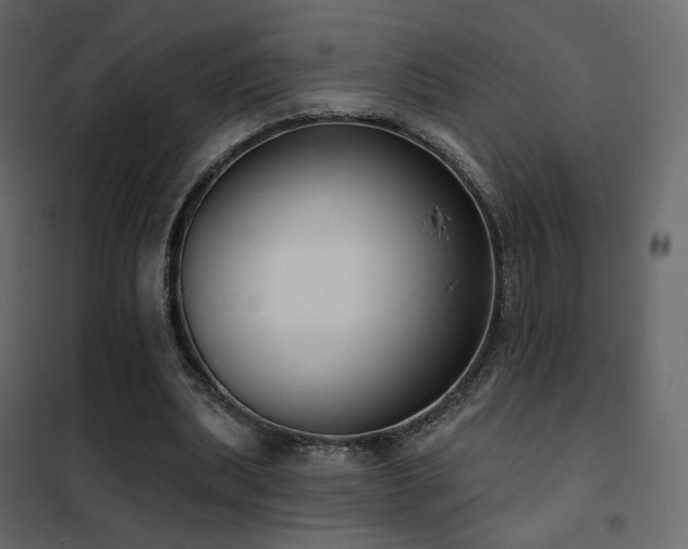 X0000102530439200808081455