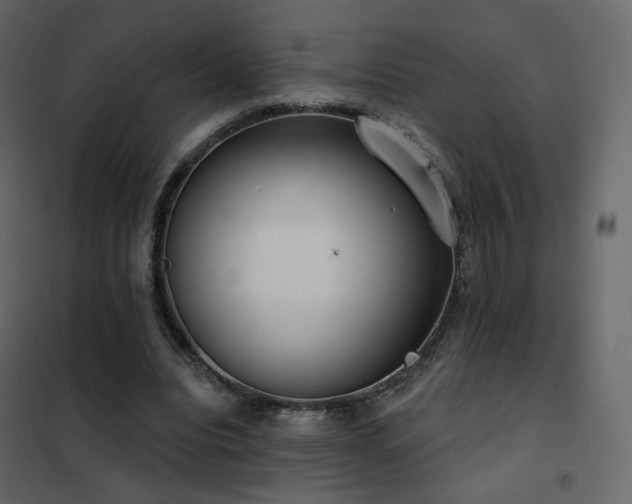X0000102530440200808081455