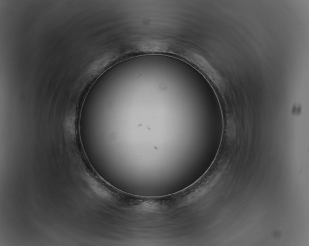 X0000102530441200808081455