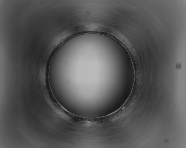 X0000102530442200808081455