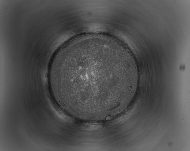X0000102530443200808081455