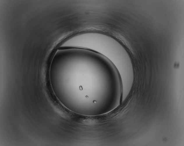 X0000102530444200808081455