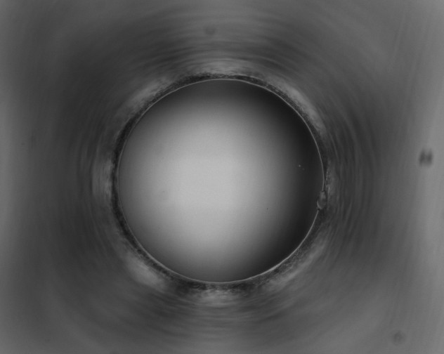 X0000102530445200808081455