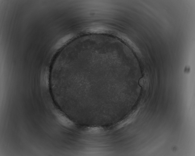 X0000102530446200808081455