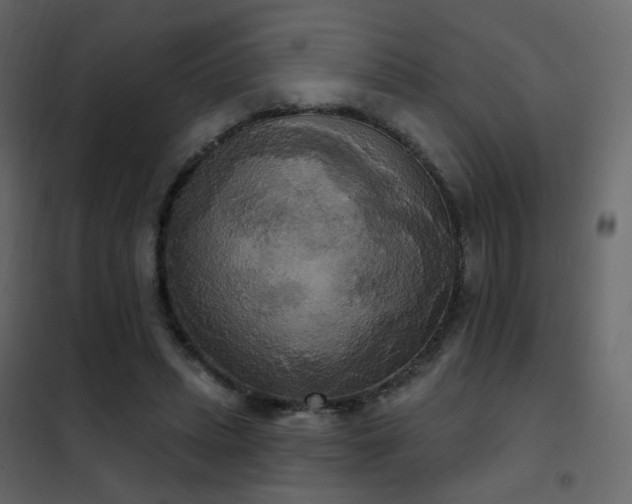 X0000102530447200808081455