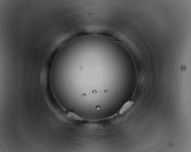 X0000102530448200808081455