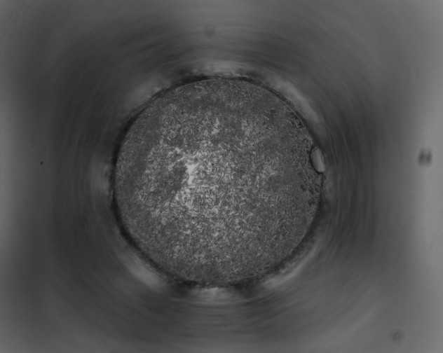 X0000102530449200808081456