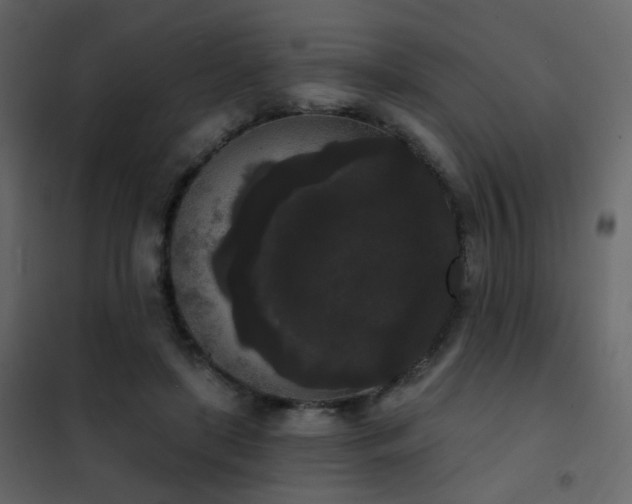 X0000102530451200808081456