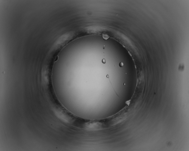 X0000102530452200808081456