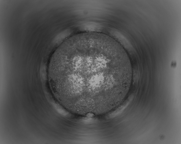 X0000102530453200808081456