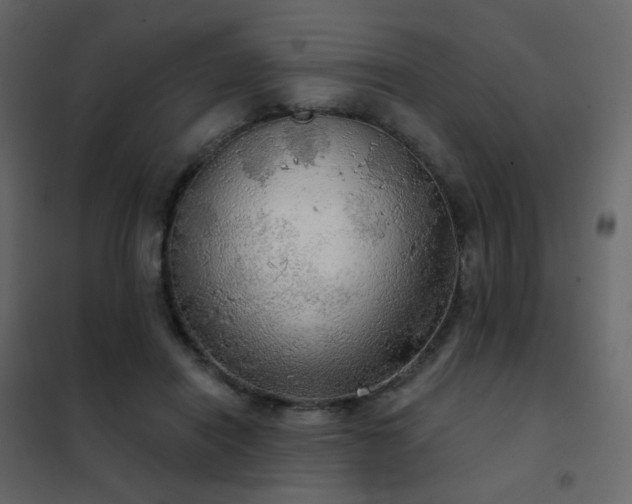 X0000102530454200808081456