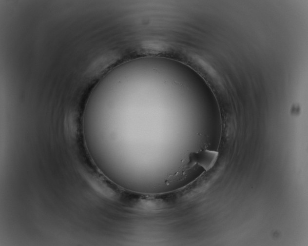 X0000102530455200808081456