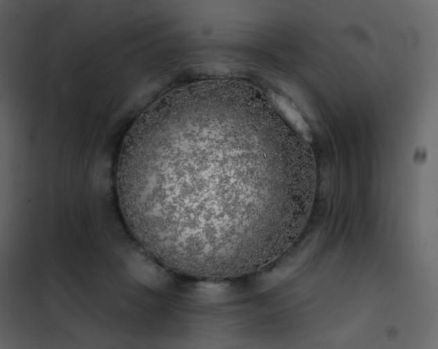 X0000102530457200808081456