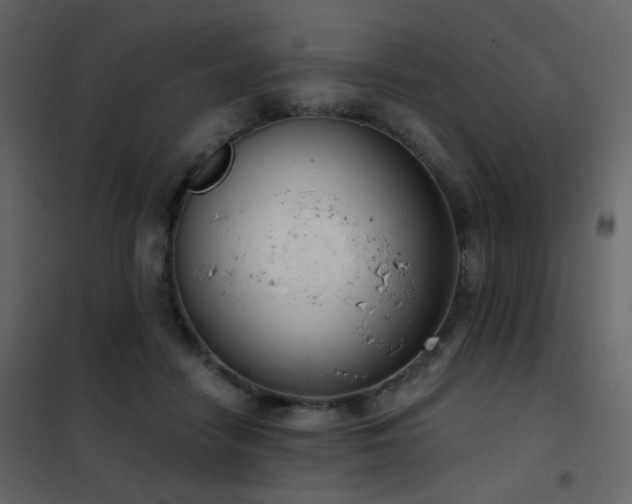 X0000102530458200808081456