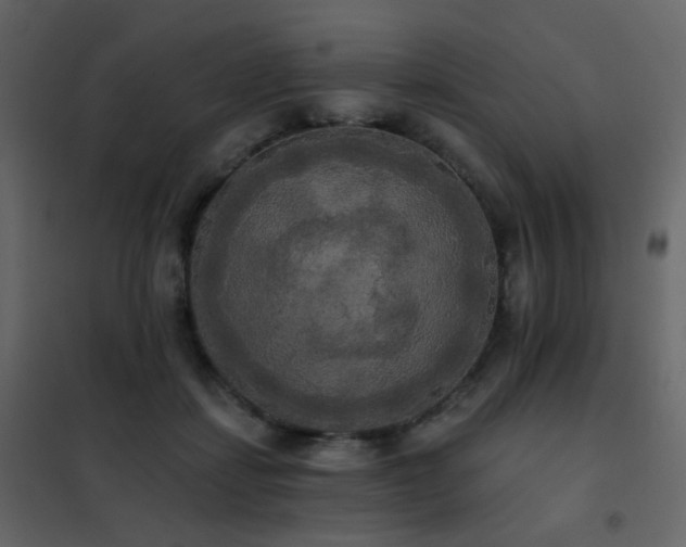 X0000102530459200808081456