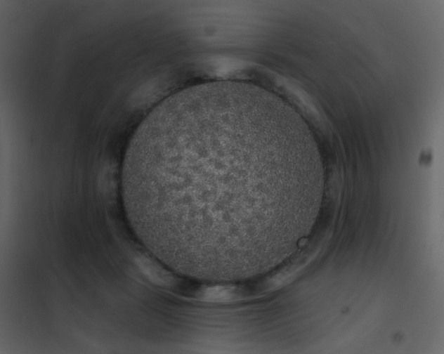 X0000102530461200808081456