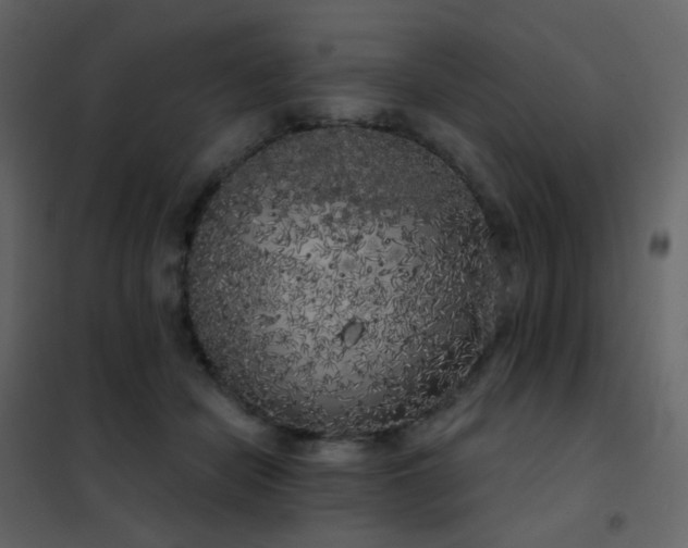 X0000102530462200808081456